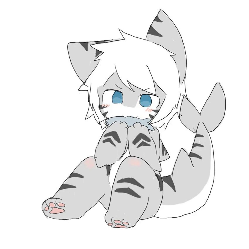 Chano tiger shark